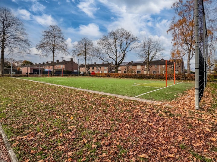 Photo 45 of Van de Loostraat 40