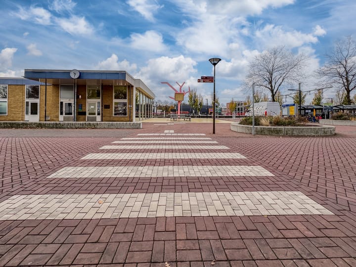 Photo 47 of Van de Loostraat 40