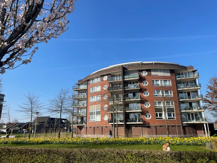 Photo 22 of Koninginnetuin 37