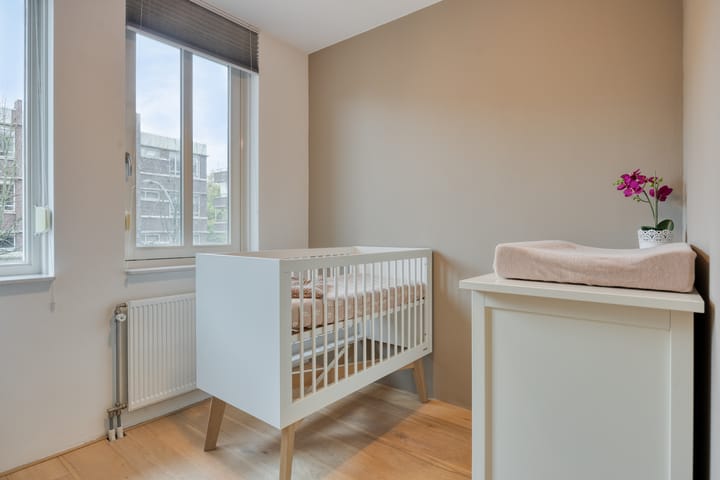 Photo 19 of Dagpauwoog 5