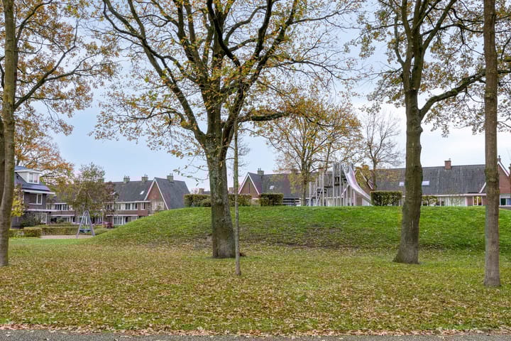 Photo 31 of Dagpauwoog 5