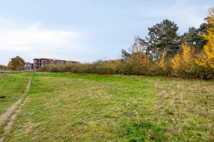 Photo 32 of Dagpauwoog 5