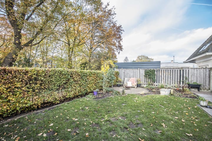 Foto 4 van Helmkruid 4