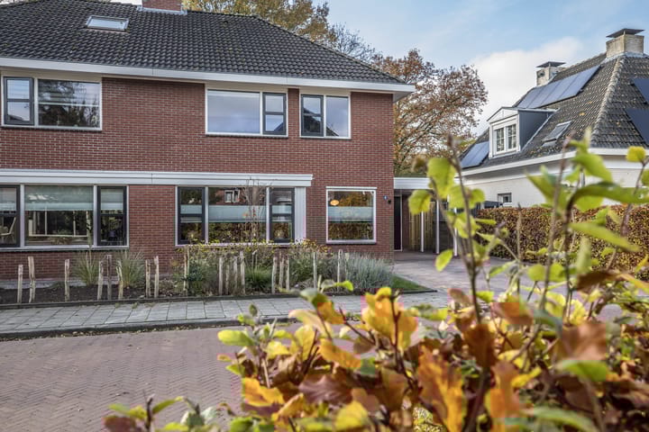 Foto 5 van Helmkruid 4