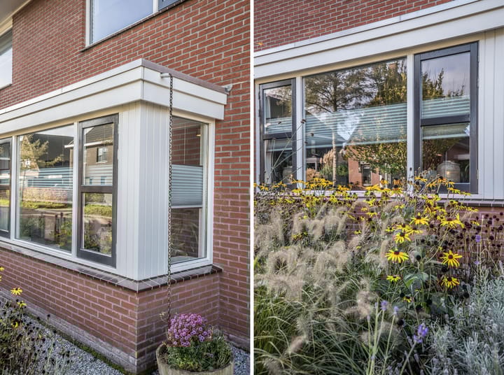 Foto 6 van Helmkruid 4