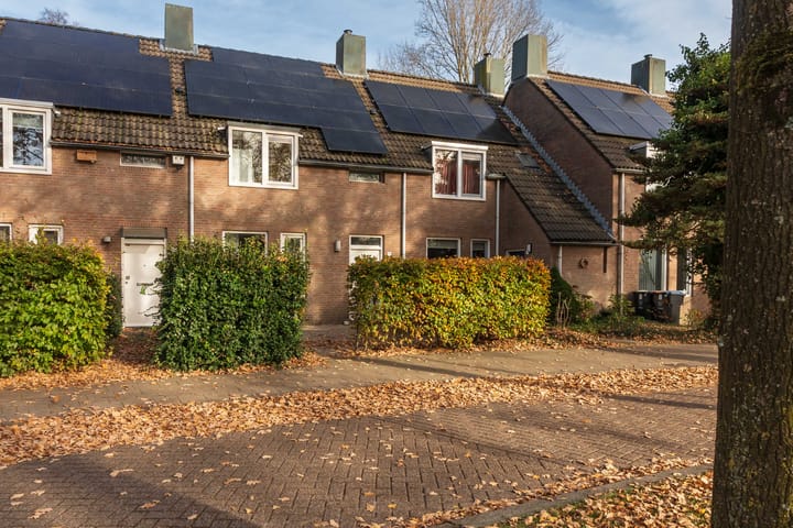 Foto 46 van Schipbeek 9