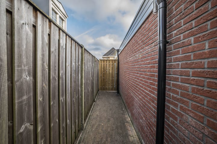 Foto 24 van Helmkruid 4