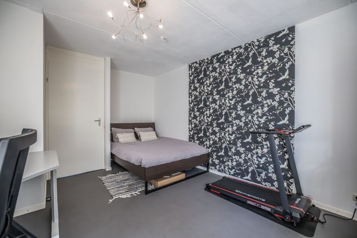 Foto 32 van Helmkruid 4