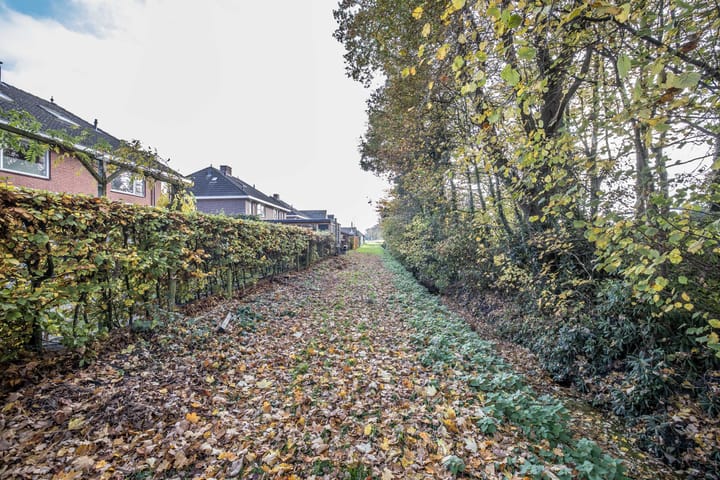 Foto 42 van Helmkruid 4