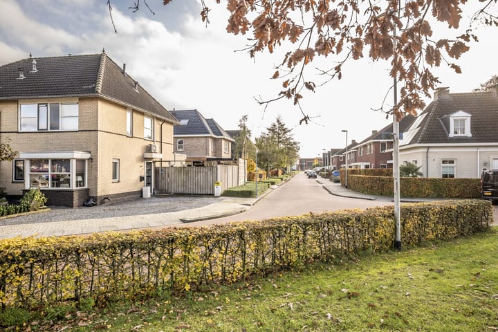 Foto 43 van Helmkruid 4