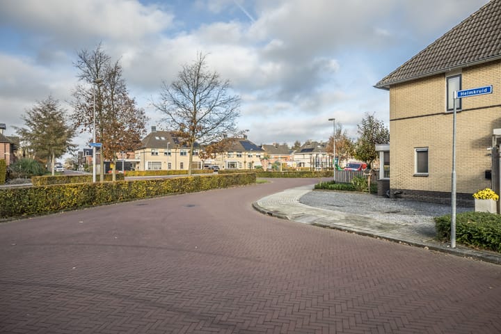 Foto 44 van Helmkruid 4