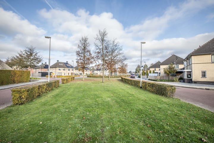 Foto 45 van Helmkruid 4