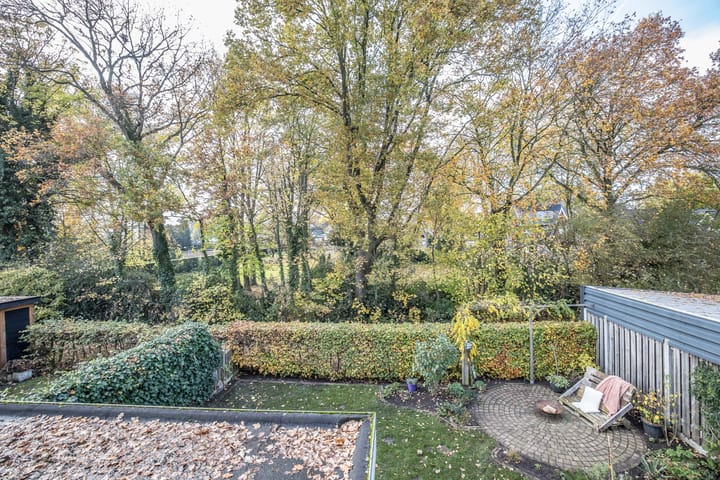 Foto 31 van Helmkruid 4