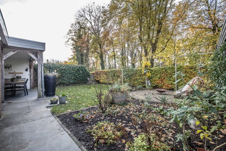 Foto 21 van Helmkruid 4