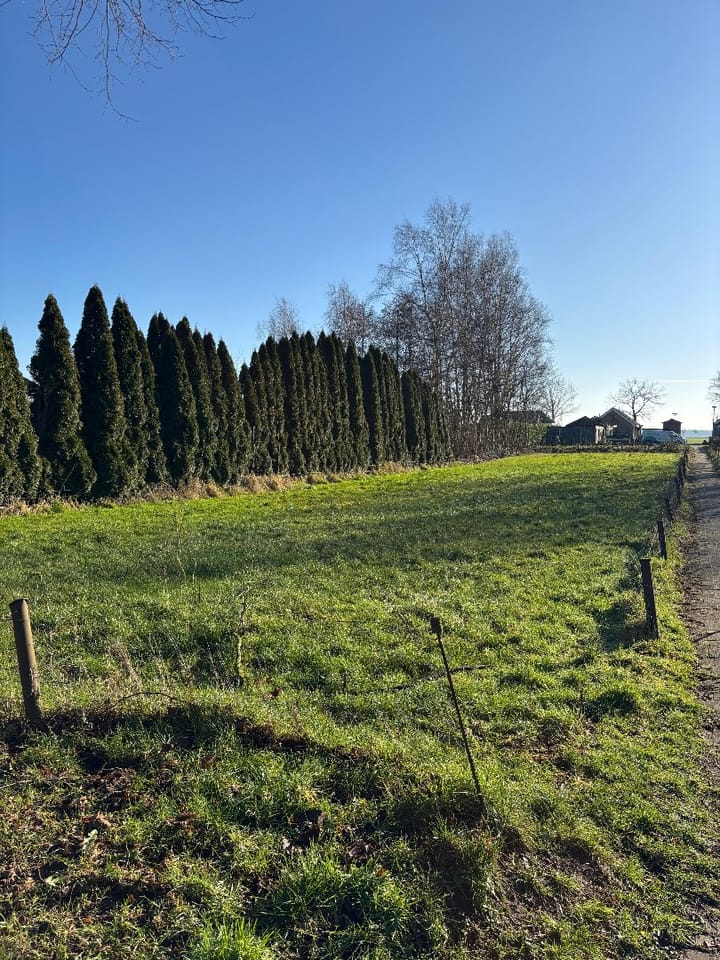 Photo 2 of Noordercolonie 34-ONG