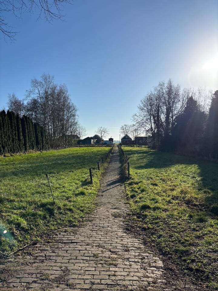 Photo 6 of Noordercolonie 34-ONG