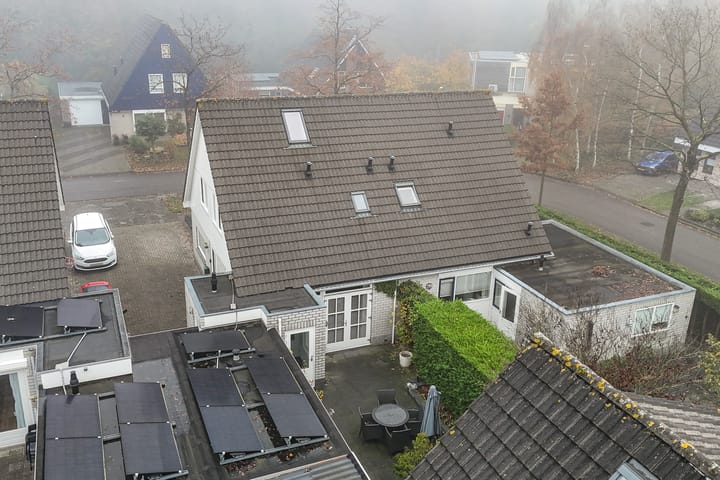 Photo 41 of Ikeleane 13