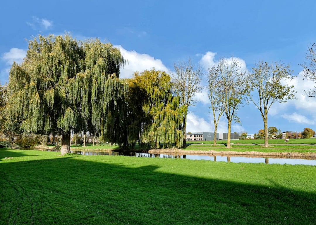 Photo 32 of Kosterijstraat 15