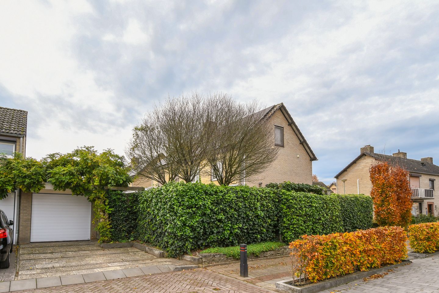 Foto 5 van Violier 17