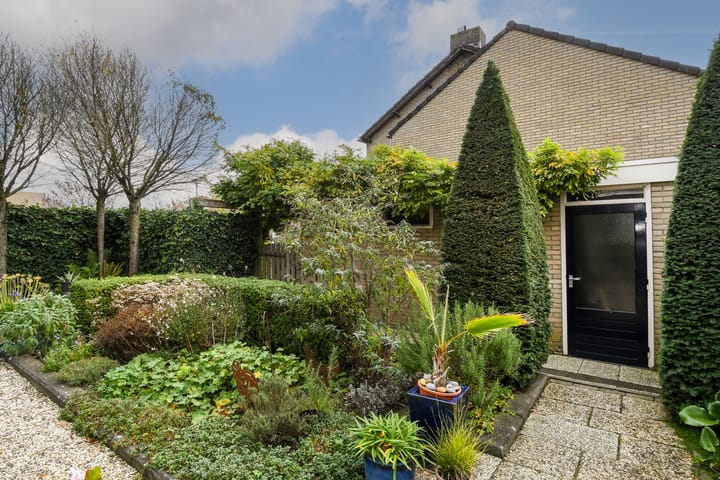 Foto 23 van Violier 17