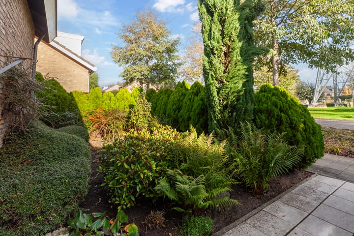 Foto 36 van Venuslaan 82