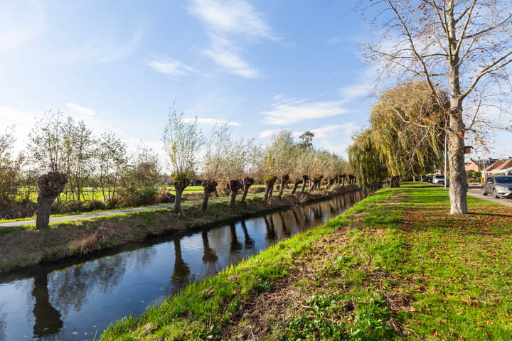 Foto 41 van Venuslaan 82