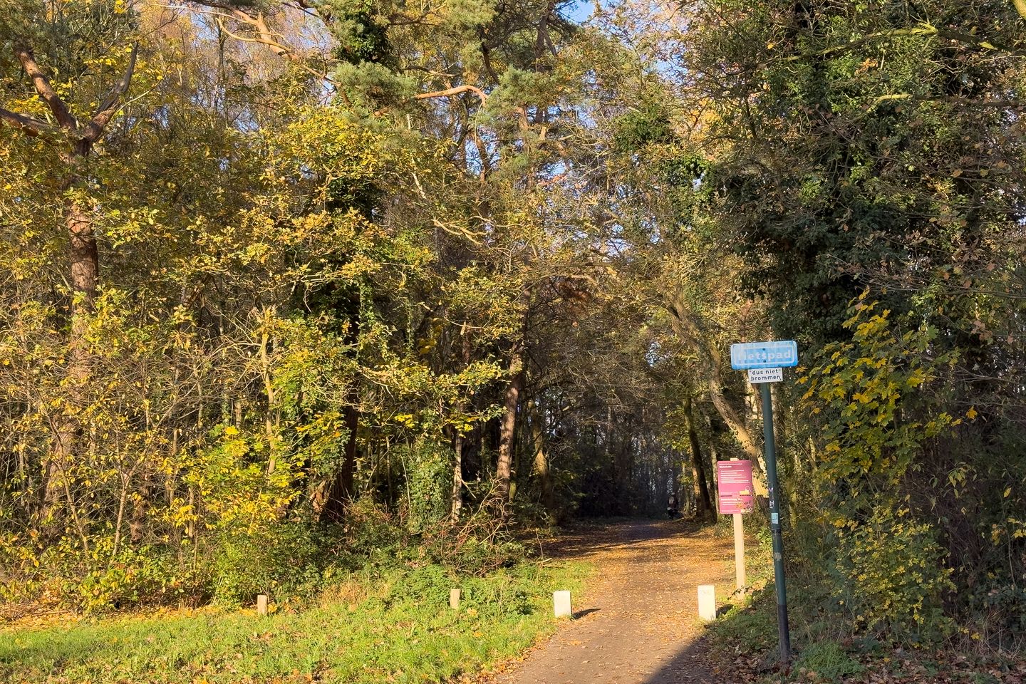 Foto 29 van Laan 1940-1945 119