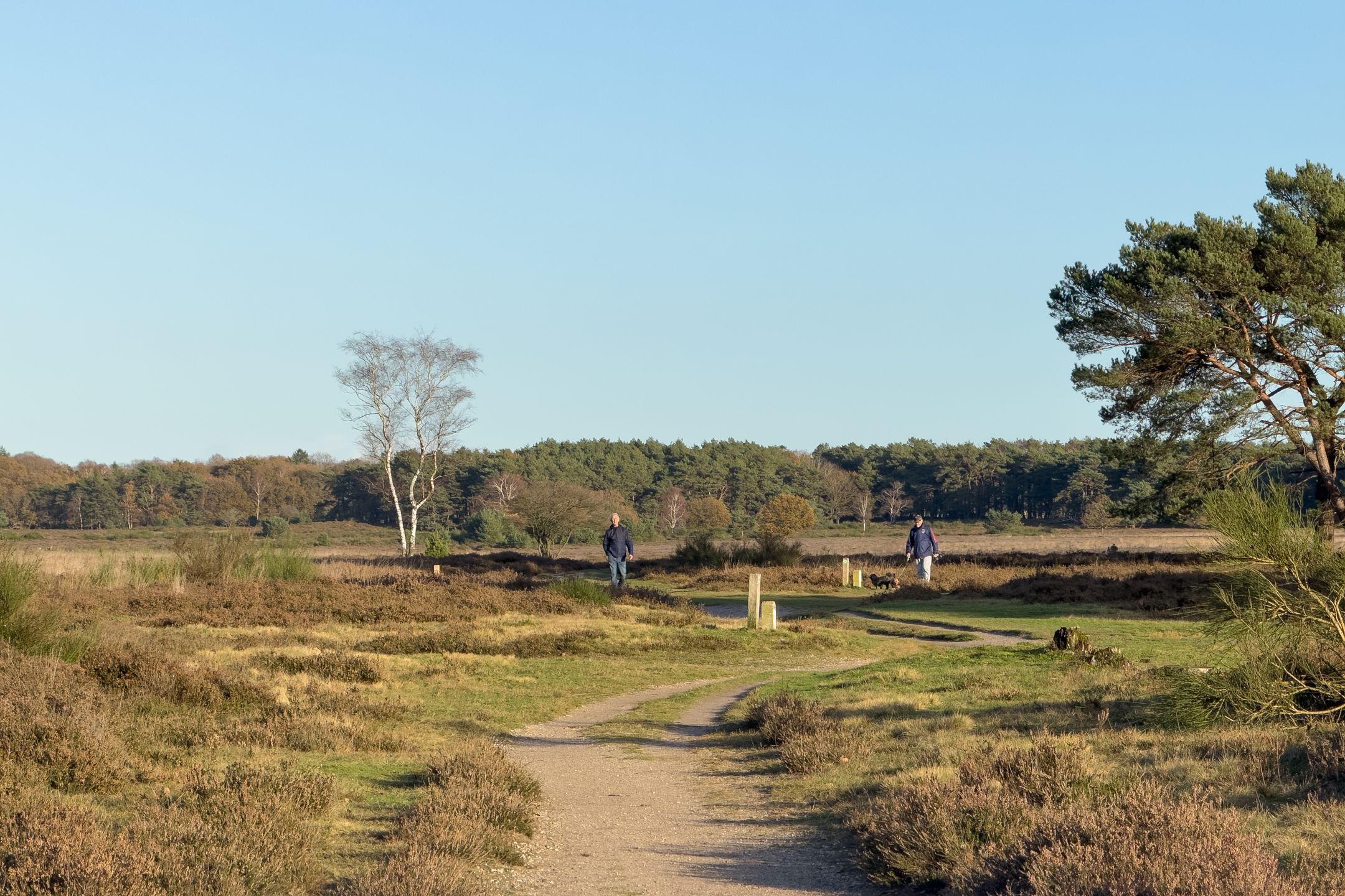 Foto 30 van Laan 1940-1945 119