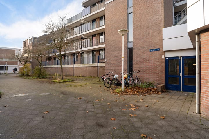 Foto 8 van Peter Zuidhove 17