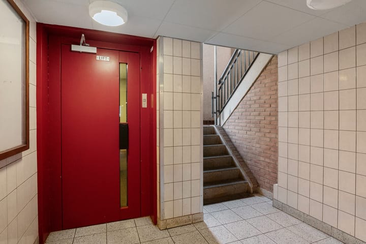 Foto 10 van Peter Zuidhove 17