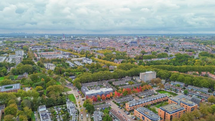 Photo 29 of Ternatestraat 151