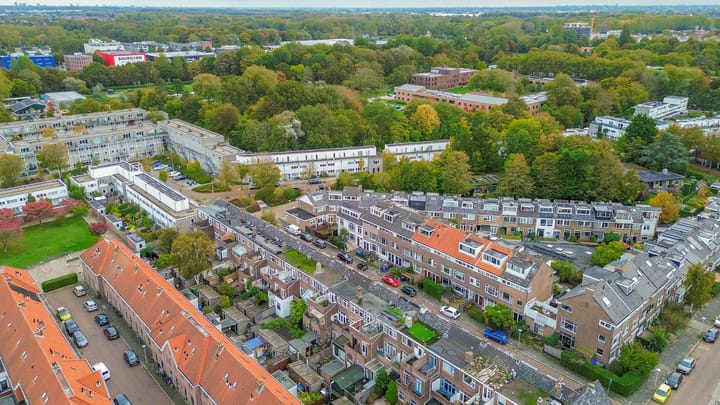 Photo 32 of Ternatestraat 151