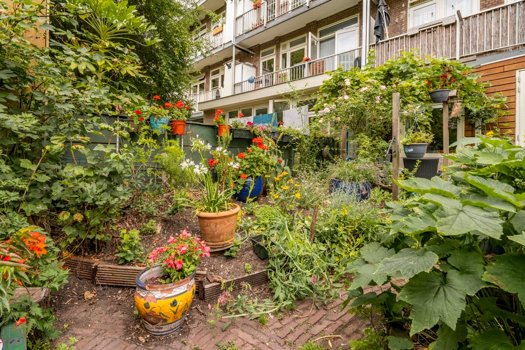 Foto 2 van Curaçaostraat 123-H