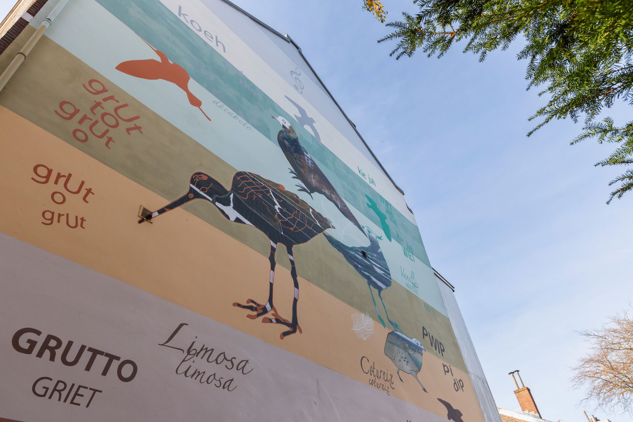 Foto 36 van Kievitdwarsstraat 48