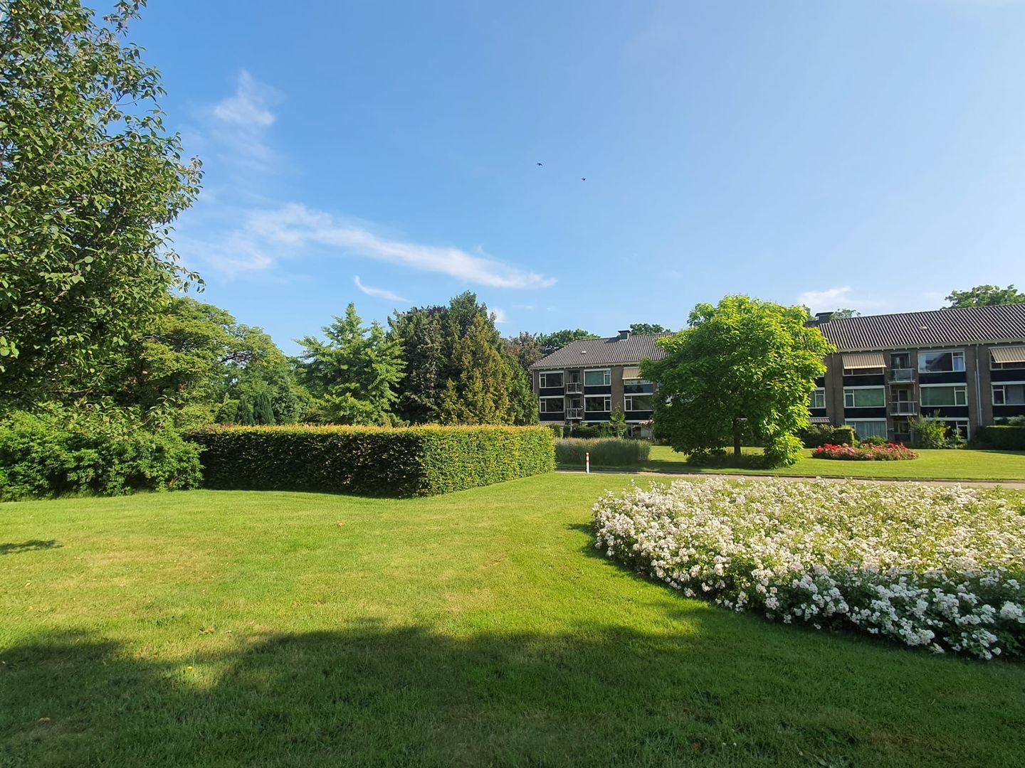 Foto 25 van Soestdijkseweg Zuid 87-A4