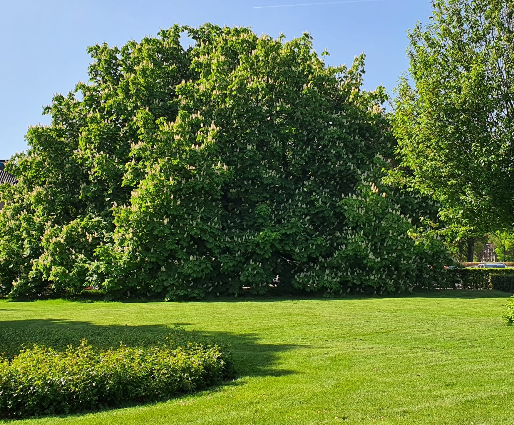 Foto 27 van Soestdijkseweg Zuid 87-A4