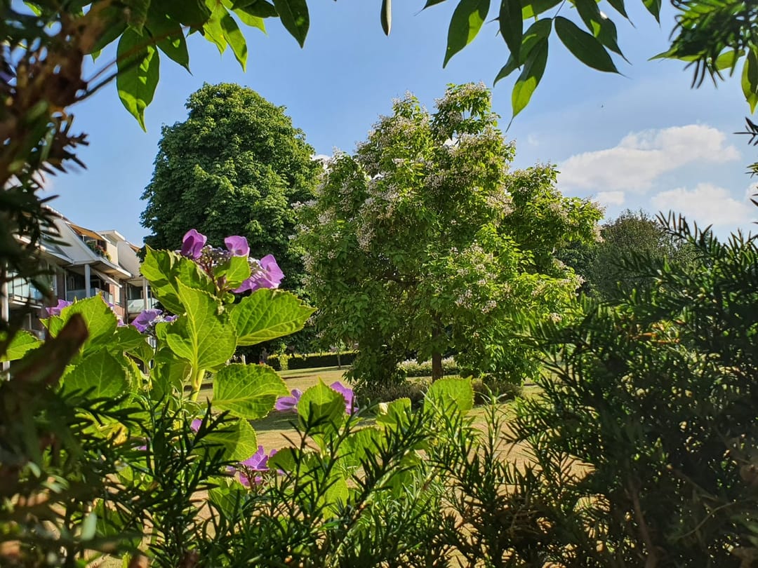 Foto 28 van Soestdijkseweg Zuid 87-A4