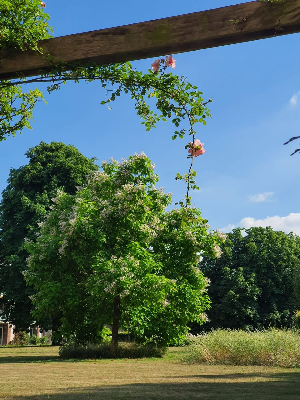Foto 29 van Soestdijkseweg Zuid 87-A4