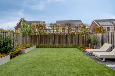 Teunisbloem 10 secondary image