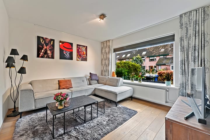 Photo 5 of Elsbes 45