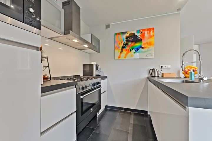 Photo 8 of Elsbes 45