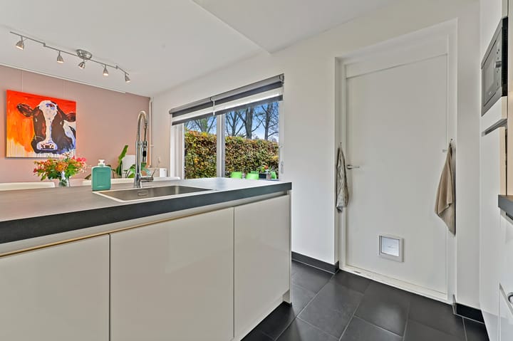 Photo 10 of Elsbes 45