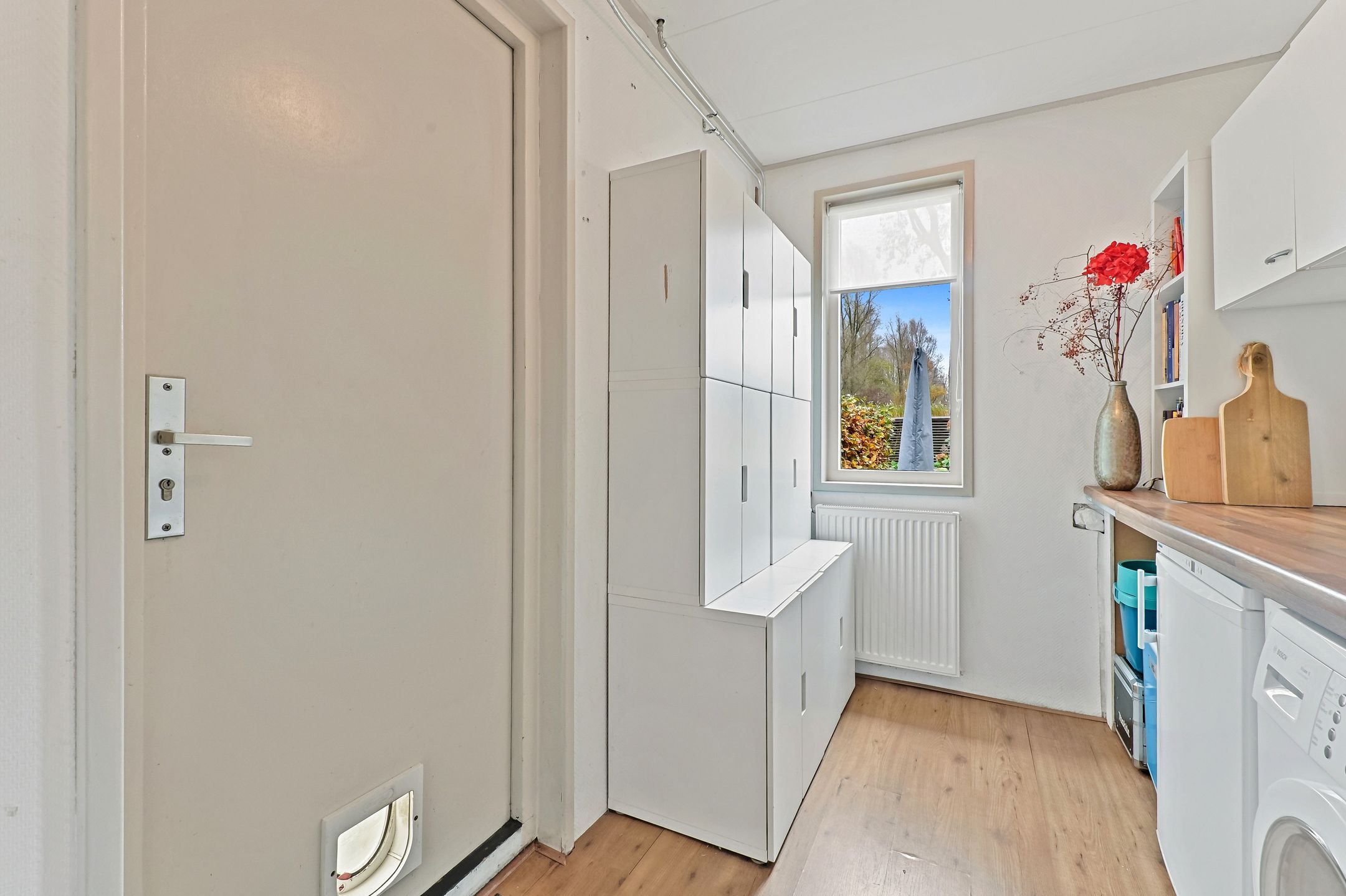 Photo 12 of Elsbes 45