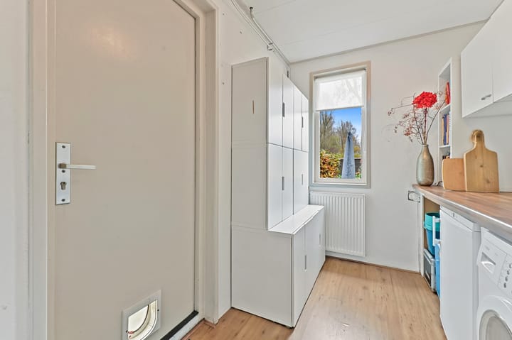 Photo 12 of Elsbes 45