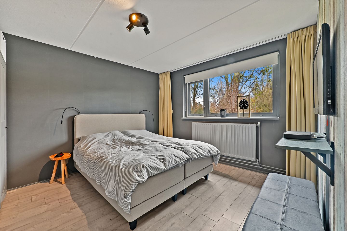 Photo 19 of Elsbes 45