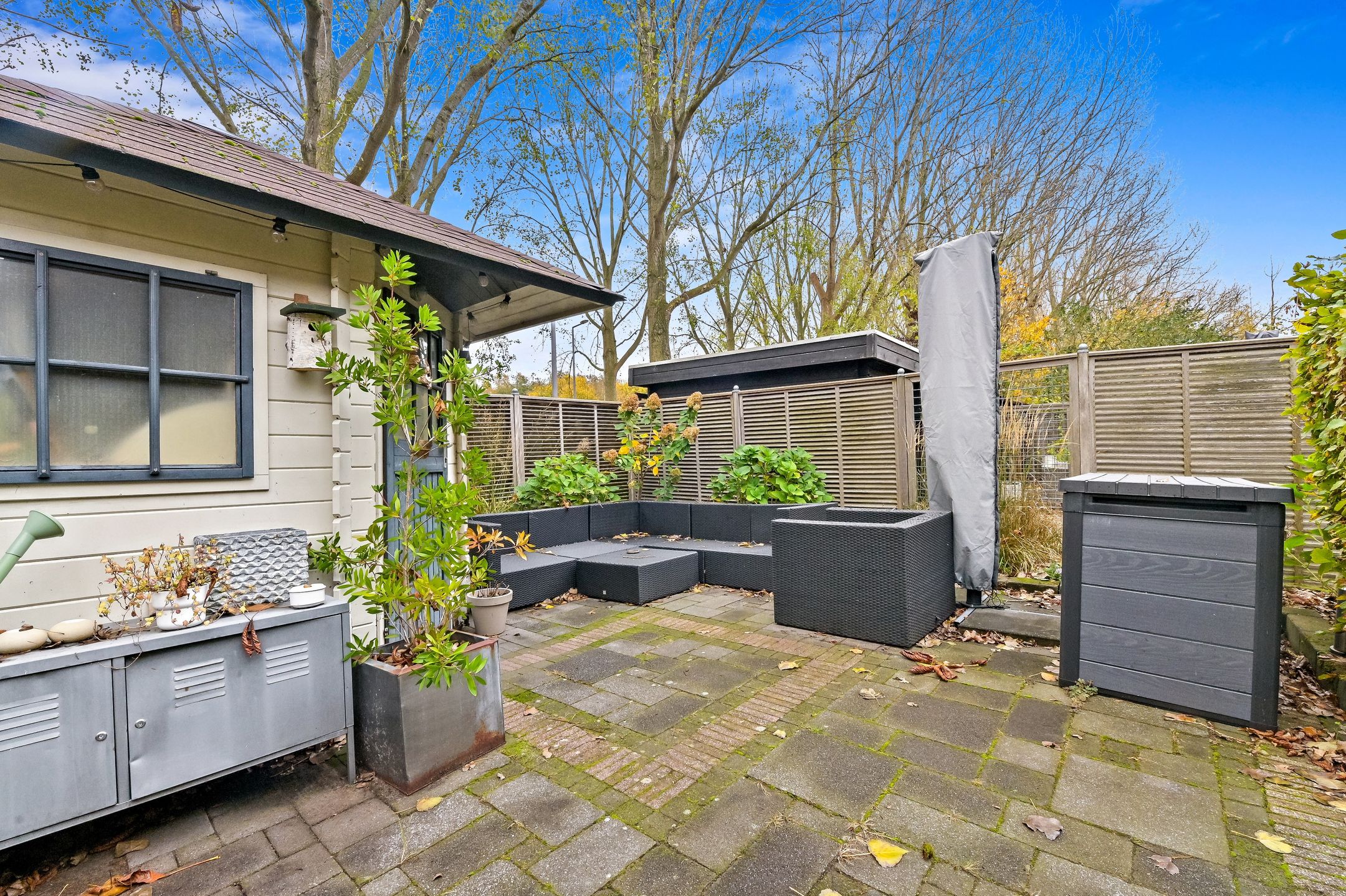 Photo 15 of Elsbes 45