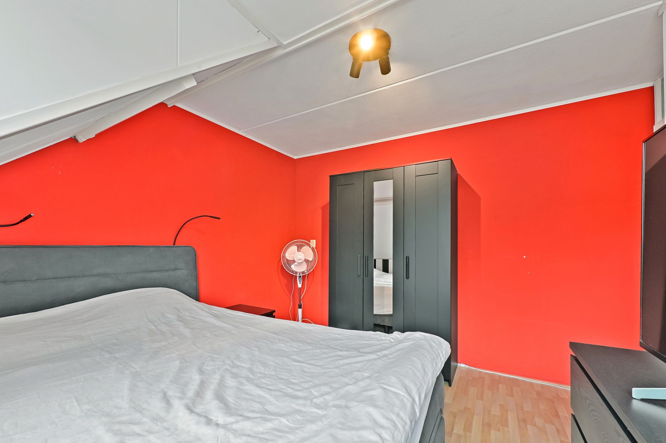 Photo 24 of Elsbes 45