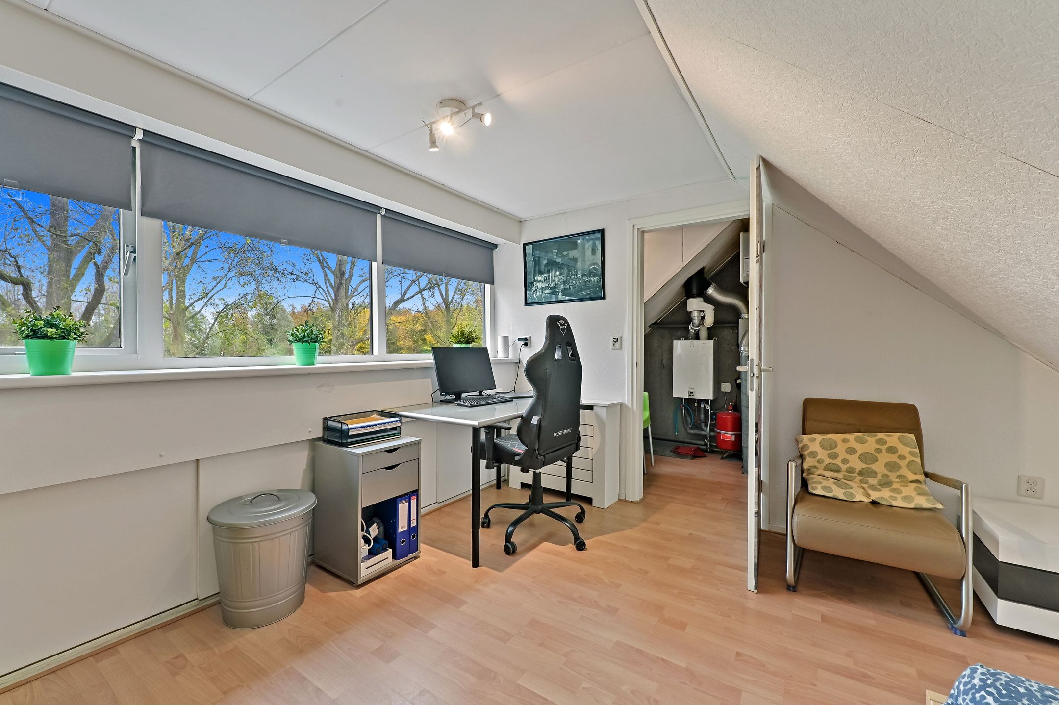 Photo 33 of Elsbes 45