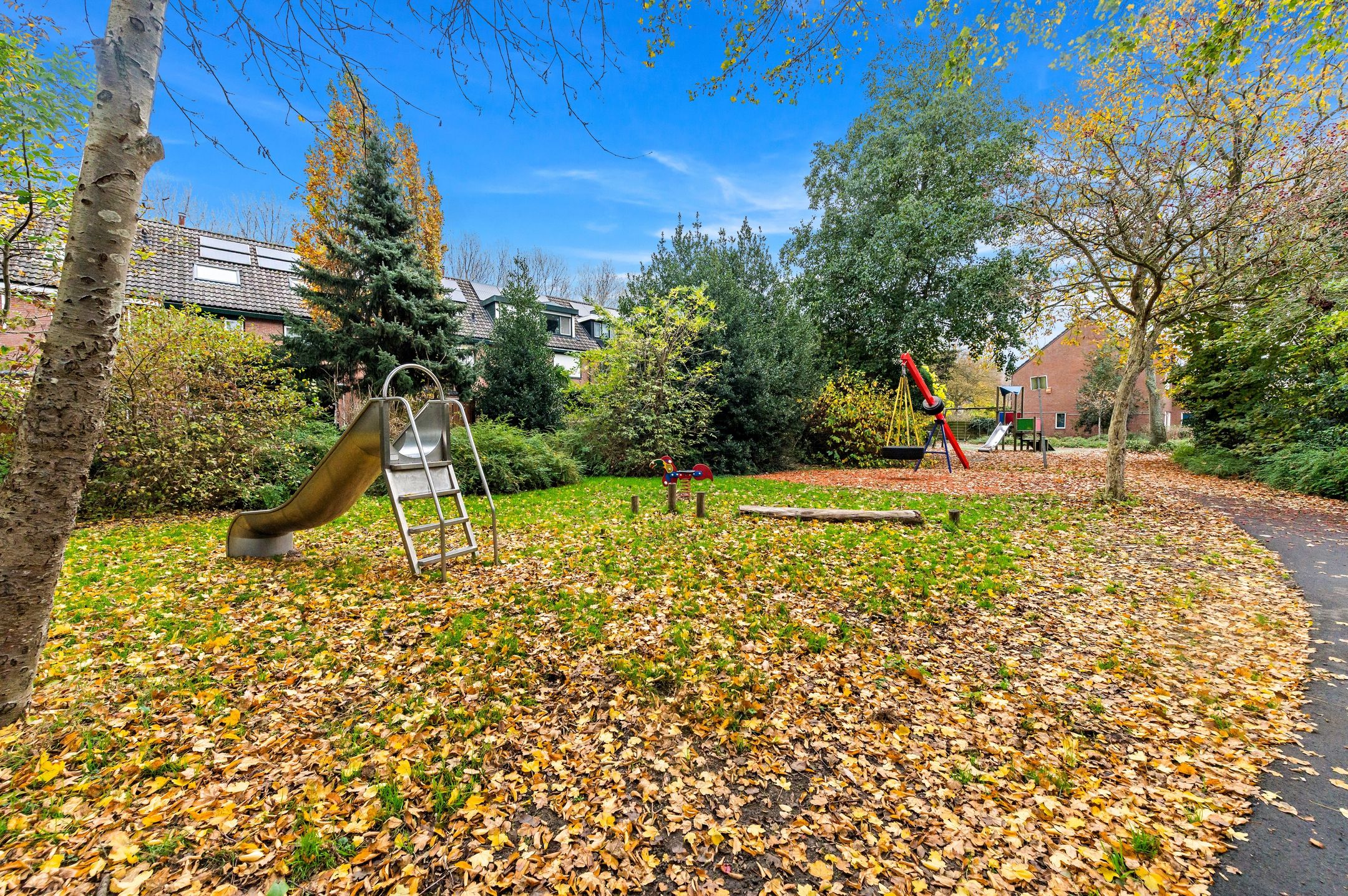 Photo 36 of Elsbes 45