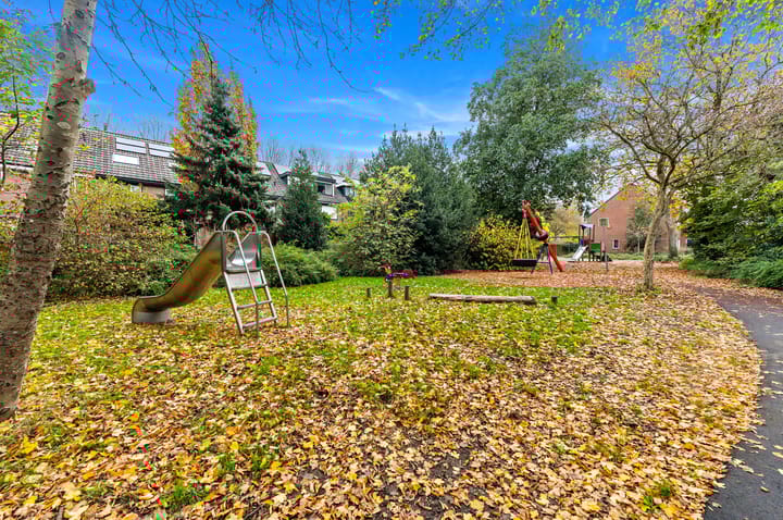 Photo 36 of Elsbes 45